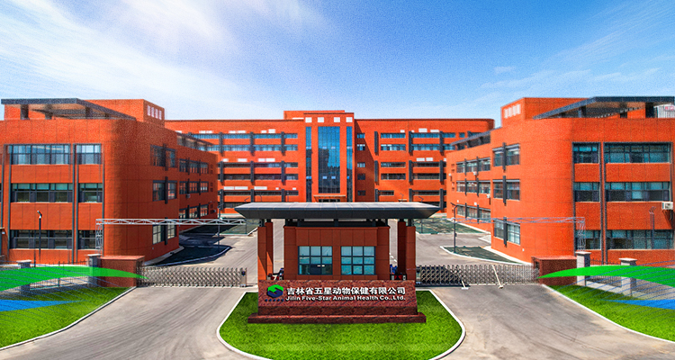 澳门铁盘算盘490777