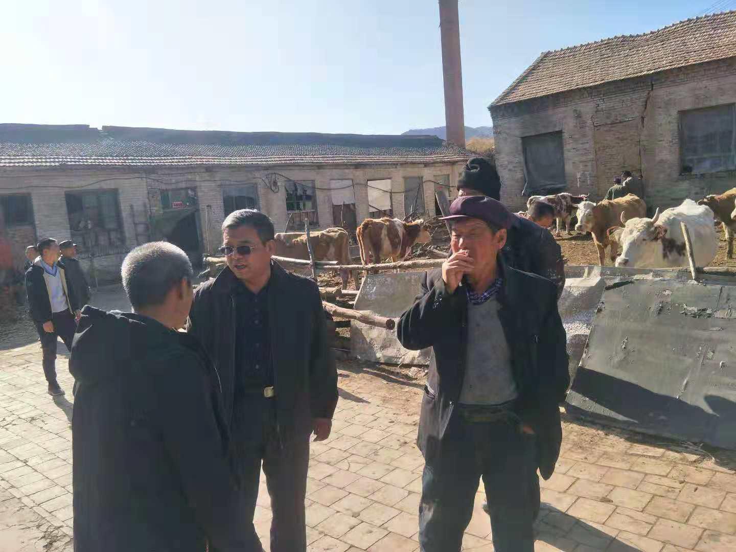 澳门铁盘算盘490777
