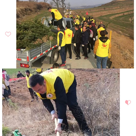 澳门铁盘算盘490777