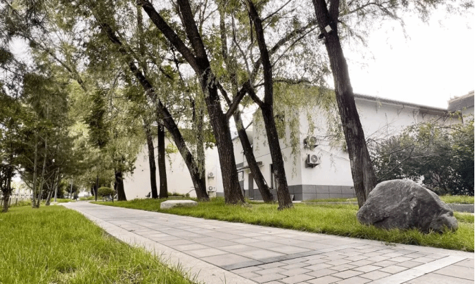 澳门铁盘算盘490777