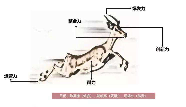 澳门铁盘算盘490777