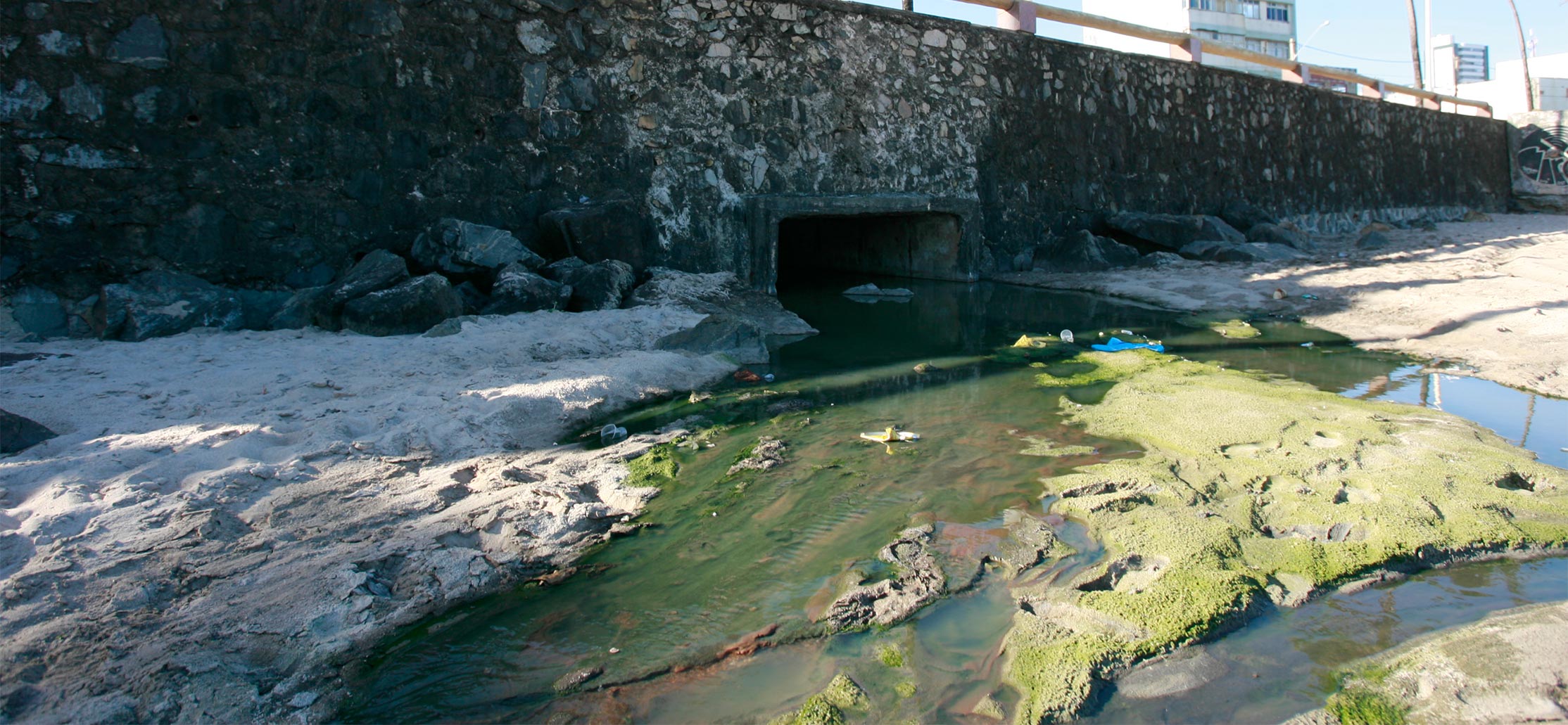 澳门铁盘算盘490777